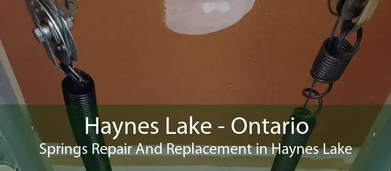 Haynes Lake - Ontario Springs Repair And Replacement in Haynes Lake