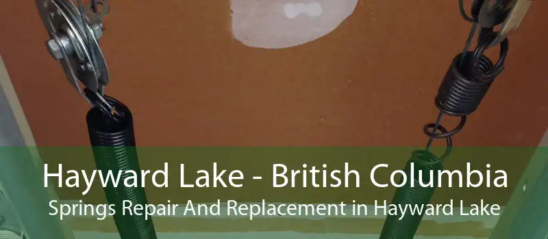 Hayward Lake - British Columbia Springs Repair And Replacement in Hayward Lake