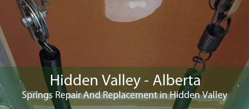 Hidden Valley - Alberta Springs Repair And Replacement in Hidden Valley