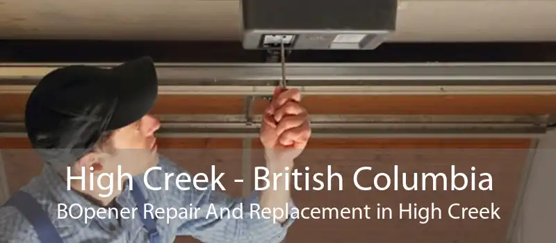 High Creek - British Columbia BOpener Repair And Replacement in High Creek
