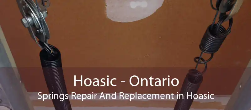 Hoasic - Ontario Springs Repair And Replacement in Hoasic