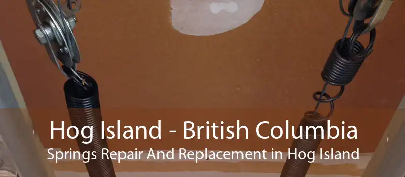 Hog Island - British Columbia Springs Repair And Replacement in Hog Island