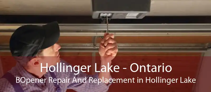 Hollinger Lake - Ontario BOpener Repair And Replacement in Hollinger Lake