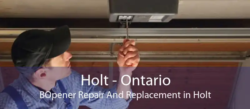 Holt - Ontario BOpener Repair And Replacement in Holt