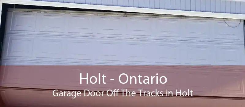 Holt - Ontario Garage Door Off The Tracks in Holt
