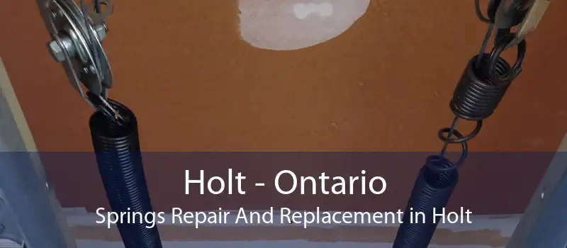 Holt - Ontario Springs Repair And Replacement in Holt