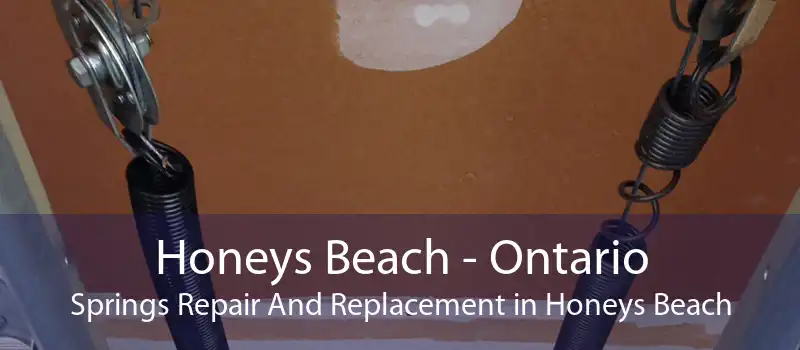 Honeys Beach - Ontario Springs Repair And Replacement in Honeys Beach