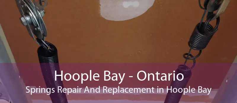Hoople Bay - Ontario Springs Repair And Replacement in Hoople Bay