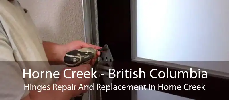 Horne Creek - British Columbia Hinges Repair And Replacement in Horne Creek