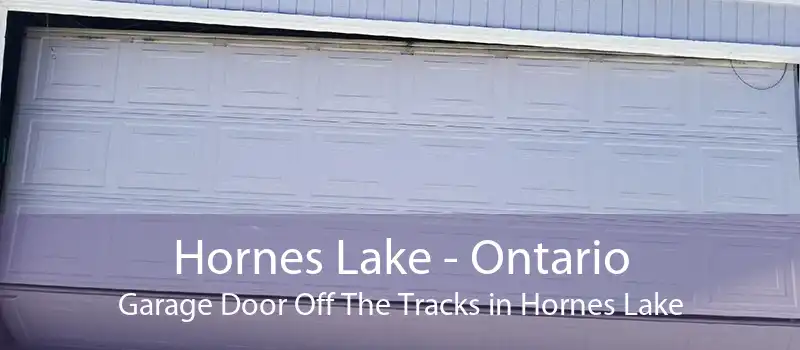 Hornes Lake - Ontario Garage Door Off The Tracks in Hornes Lake
