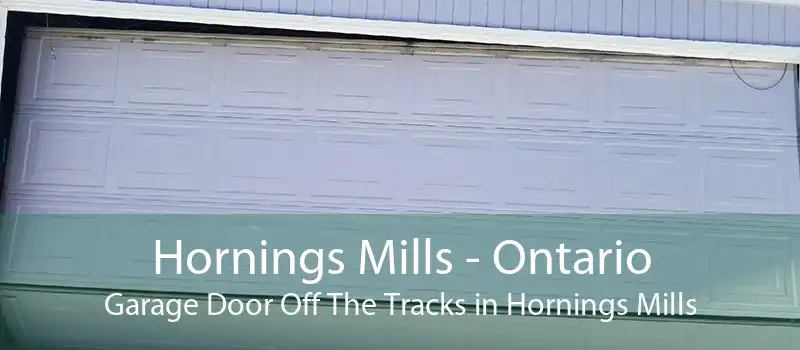 Hornings Mills - Ontario Garage Door Off The Tracks in Hornings Mills
