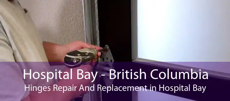 Hospital Bay - British Columbia Hinges Repair And Replacement in Hospital Bay