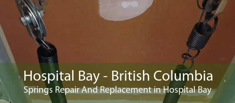Hospital Bay - British Columbia Springs Repair And Replacement in Hospital Bay