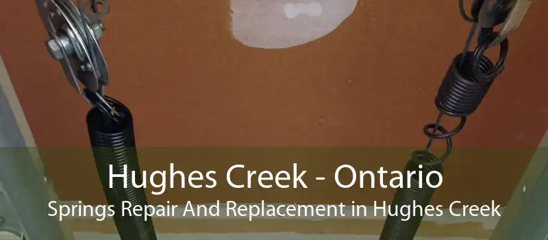 Hughes Creek - Ontario Springs Repair And Replacement in Hughes Creek