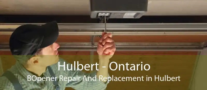Hulbert - Ontario BOpener Repair And Replacement in Hulbert