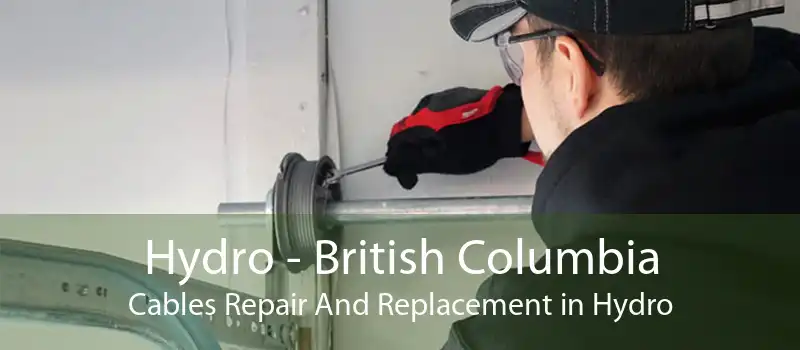 Hydro - British Columbia Cables Repair And Replacement in Hydro