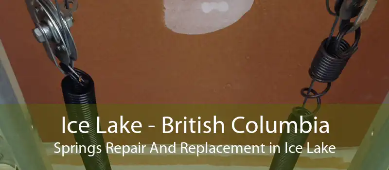 Ice Lake - British Columbia Springs Repair And Replacement in Ice Lake