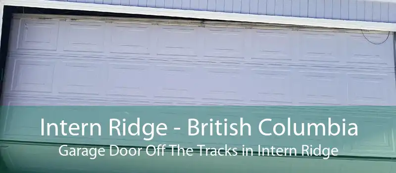 Intern Ridge - British Columbia Garage Door Off The Tracks in Intern Ridge