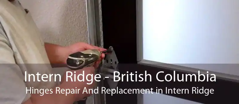 Intern Ridge - British Columbia Hinges Repair And Replacement in Intern Ridge