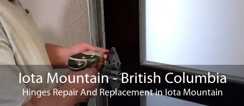 Iota Mountain - British Columbia Hinges Repair And Replacement in Iota Mountain