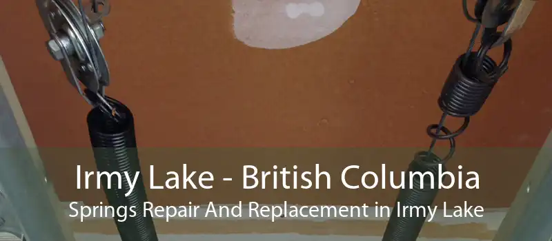 Irmy Lake - British Columbia Springs Repair And Replacement in Irmy Lake