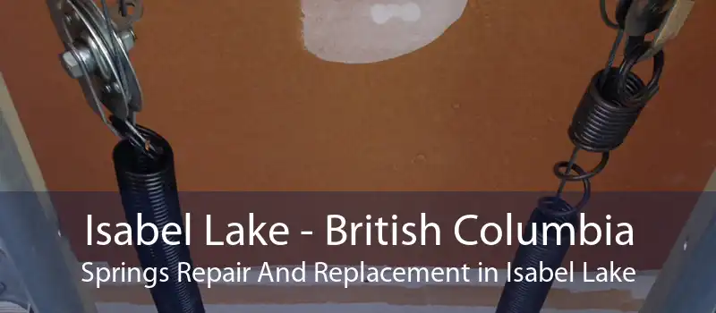Isabel Lake - British Columbia Springs Repair And Replacement in Isabel Lake