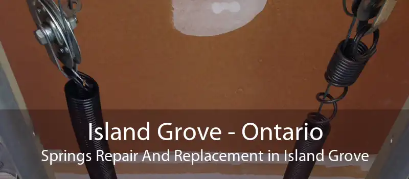 Island Grove - Ontario Springs Repair And Replacement in Island Grove