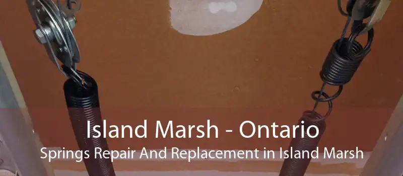 Island Marsh - Ontario Springs Repair And Replacement in Island Marsh