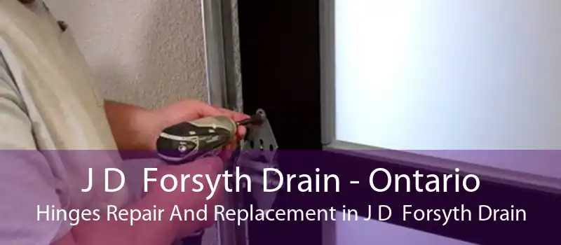 J D  Forsyth Drain - Ontario Hinges Repair And Replacement in J D  Forsyth Drain