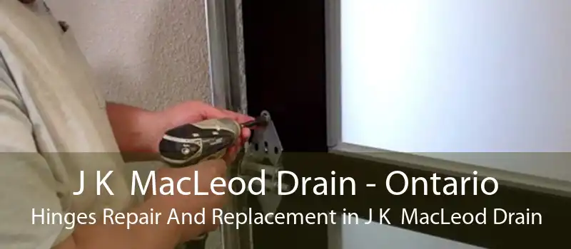 J K  MacLeod Drain - Ontario Hinges Repair And Replacement in J K  MacLeod Drain