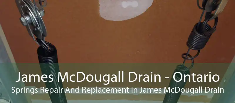 James McDougall Drain - Ontario Springs Repair And Replacement in James McDougall Drain