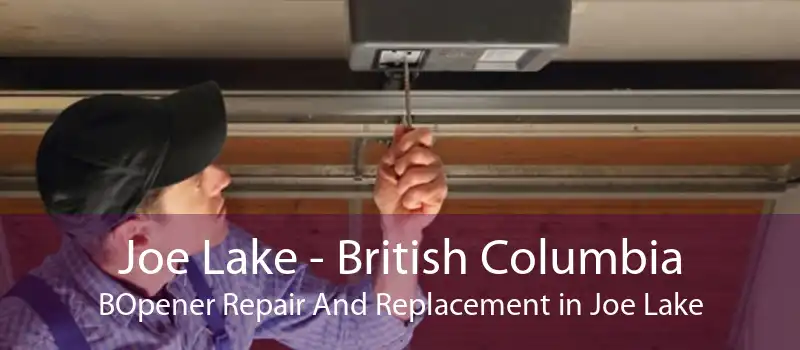 Joe Lake - British Columbia BOpener Repair And Replacement in Joe Lake