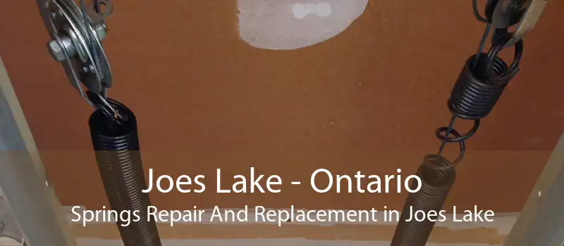 Joes Lake - Ontario Springs Repair And Replacement in Joes Lake