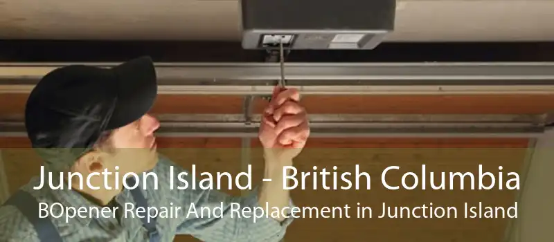 Junction Island - British Columbia BOpener Repair And Replacement in Junction Island
