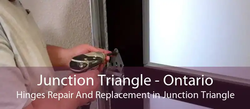 Junction Triangle - Ontario Hinges Repair And Replacement in Junction Triangle