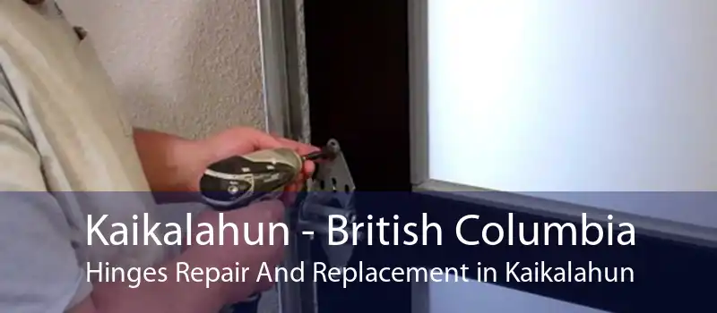 Kaikalahun - British Columbia Hinges Repair And Replacement in Kaikalahun