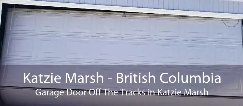 Katzie Marsh - British Columbia Garage Door Off The Tracks in Katzie Marsh
