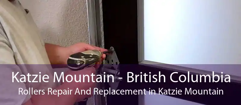 Katzie Mountain - British Columbia Rollers Repair And Replacement in Katzie Mountain