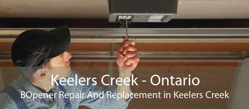 Keelers Creek - Ontario BOpener Repair And Replacement in Keelers Creek