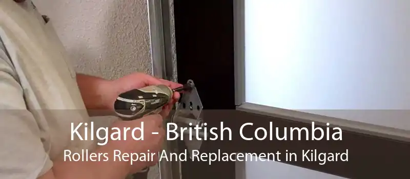 Kilgard - British Columbia Rollers Repair And Replacement in Kilgard