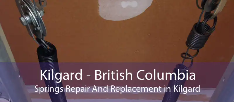 Kilgard - British Columbia Springs Repair And Replacement in Kilgard