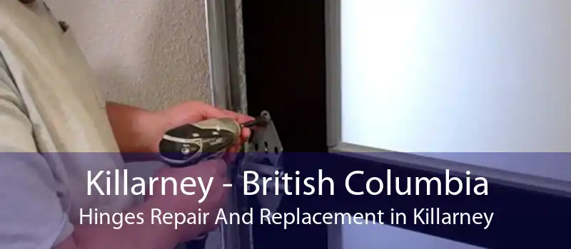 Killarney - British Columbia Hinges Repair And Replacement in Killarney