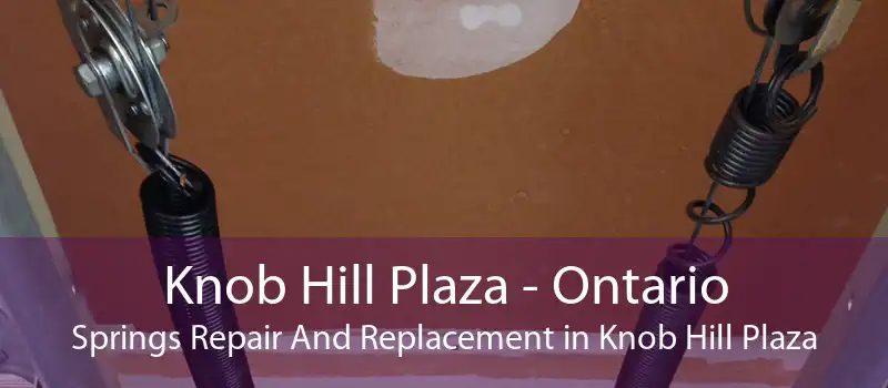 Knob Hill Plaza - Ontario Springs Repair And Replacement in Knob Hill Plaza