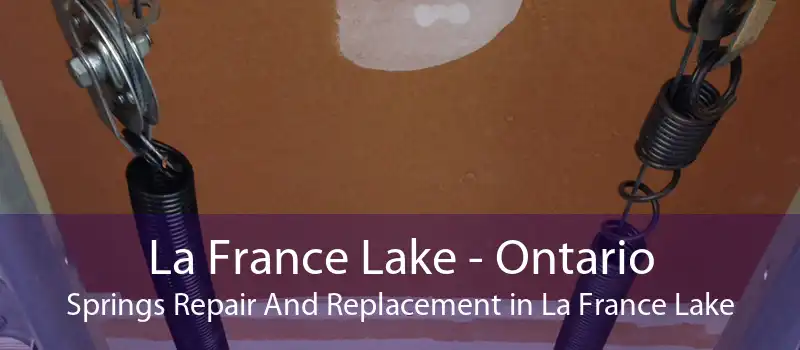 La France Lake - Ontario Springs Repair And Replacement in La France Lake