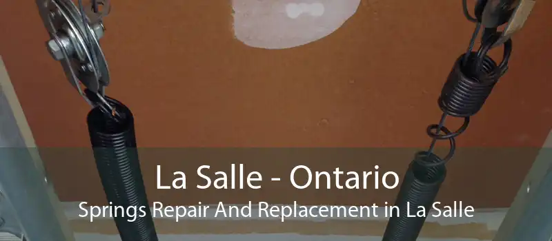 La Salle - Ontario Springs Repair And Replacement in La Salle