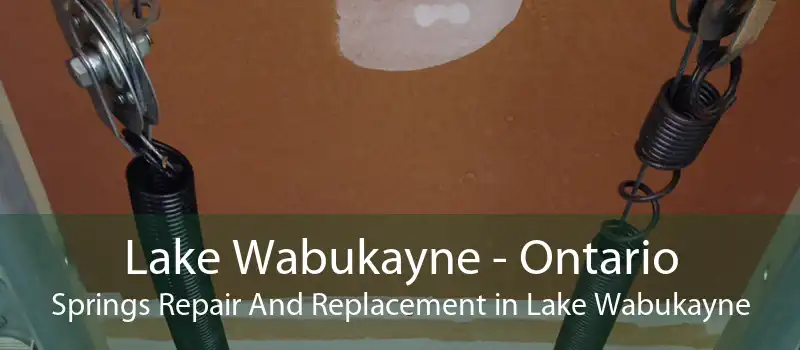 Lake Wabukayne - Ontario Springs Repair And Replacement in Lake Wabukayne