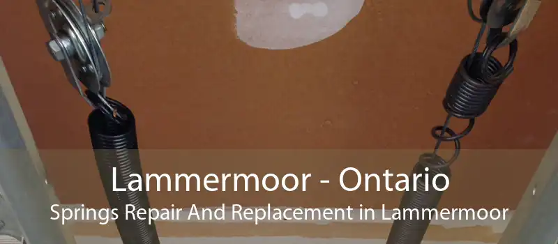 Lammermoor - Ontario Springs Repair And Replacement in Lammermoor