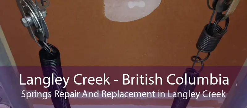 Langley Creek - British Columbia Springs Repair And Replacement in Langley Creek