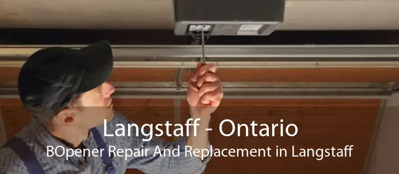 Langstaff - Ontario BOpener Repair And Replacement in Langstaff