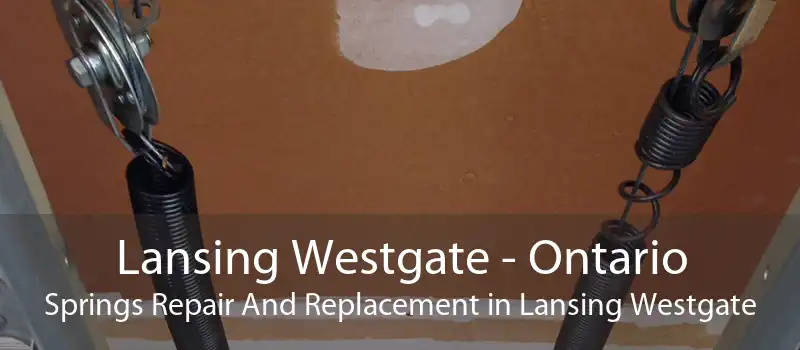 Lansing Westgate - Ontario Springs Repair And Replacement in Lansing Westgate